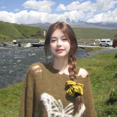 泰迪熊2
